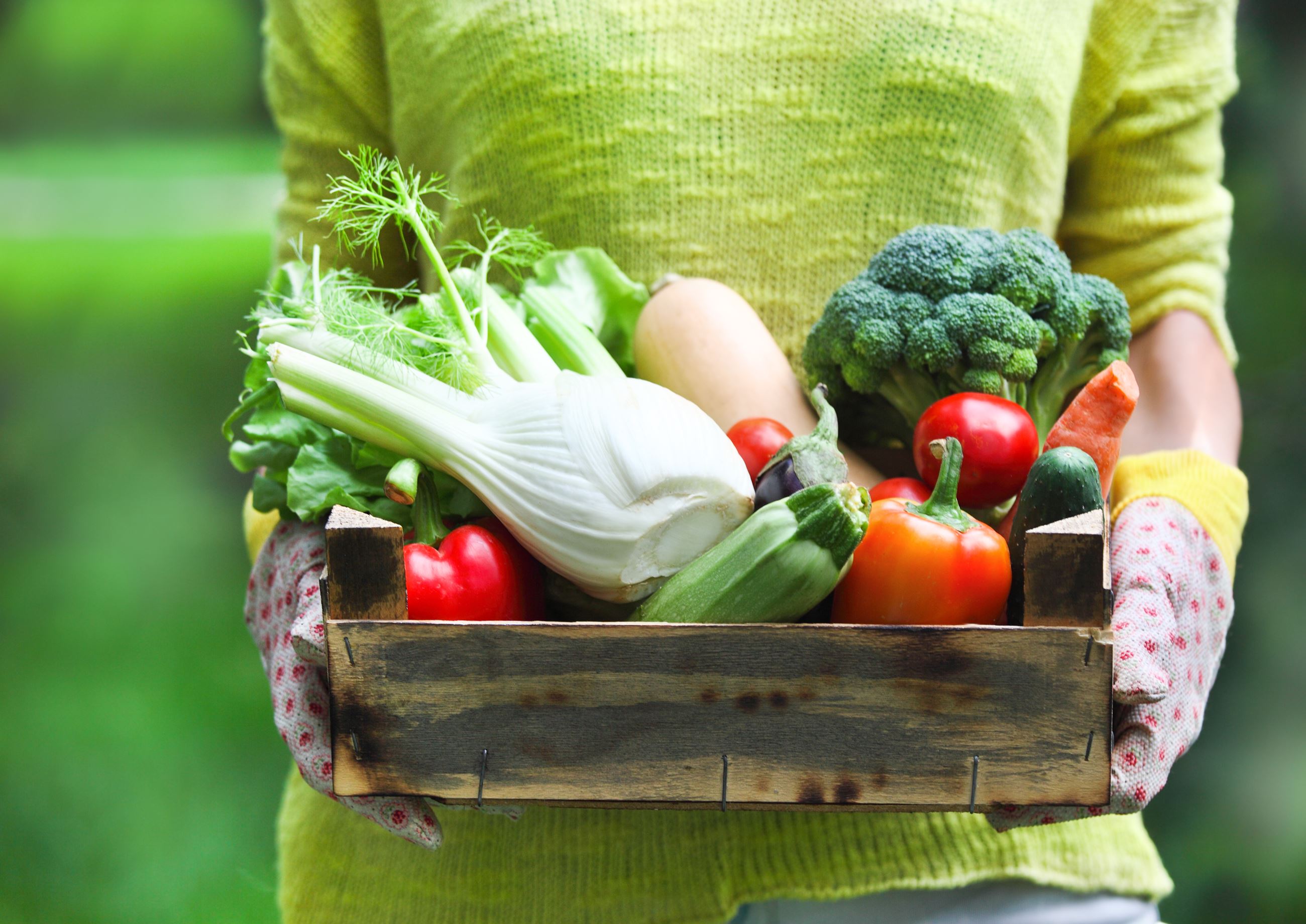 Woman wearing gloves with fresh vegetables in the box in her hands. Close up