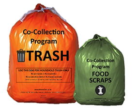 Green and orange bag