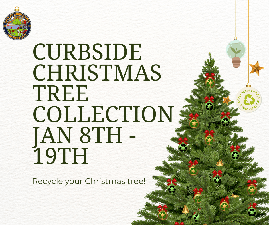 Christmas Tree Disposal_2023