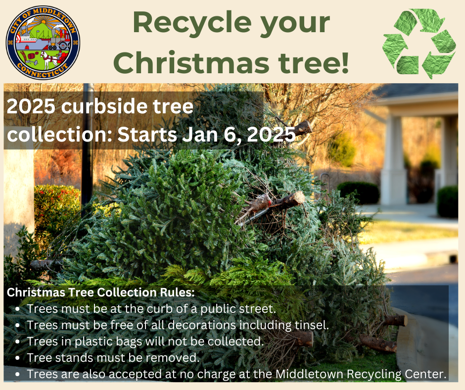 Christmas tree recycling 2025