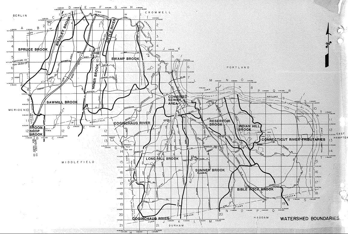 1996 Topographical Map