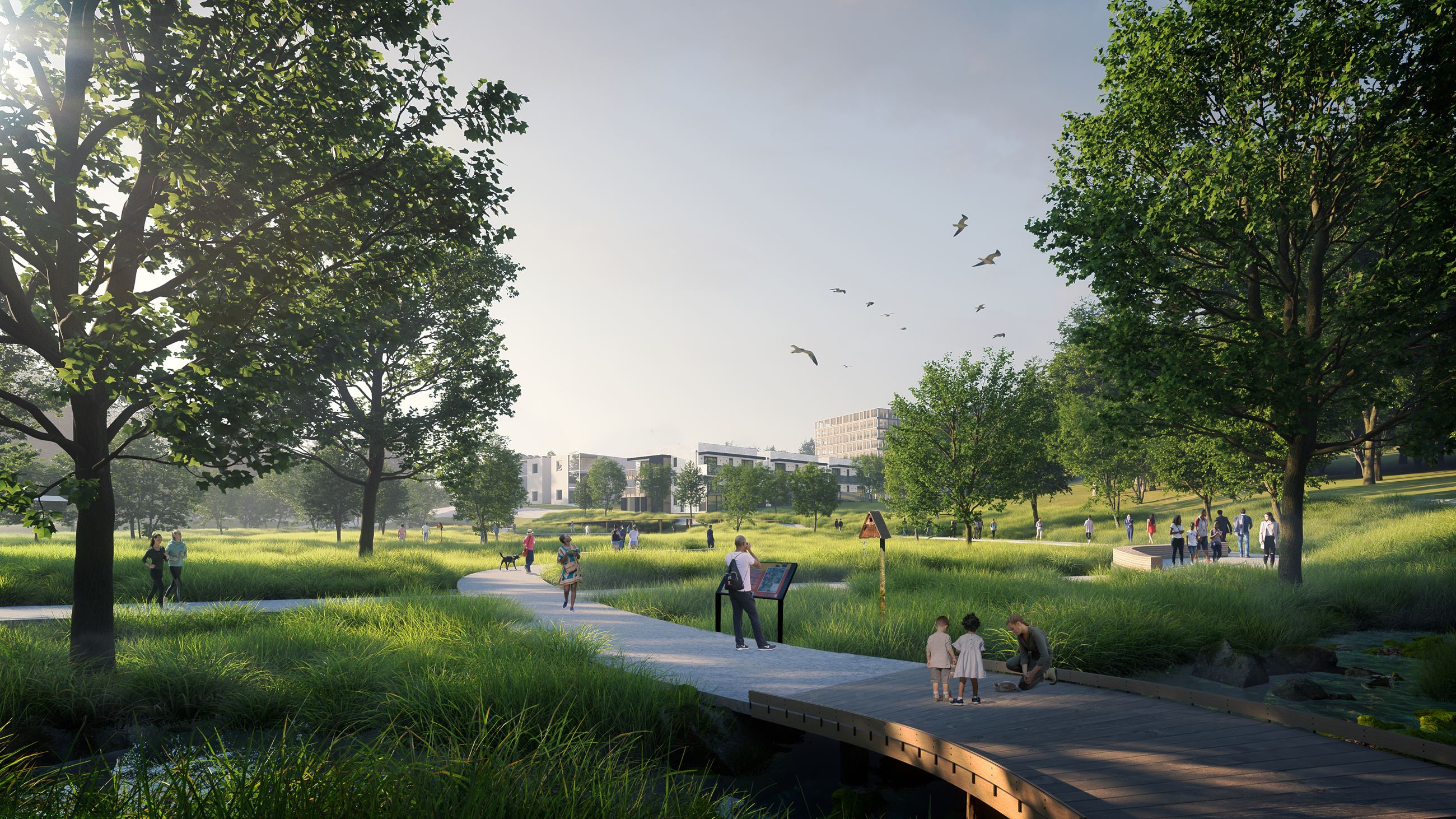 Jackson Site - Sowheag Wetlands