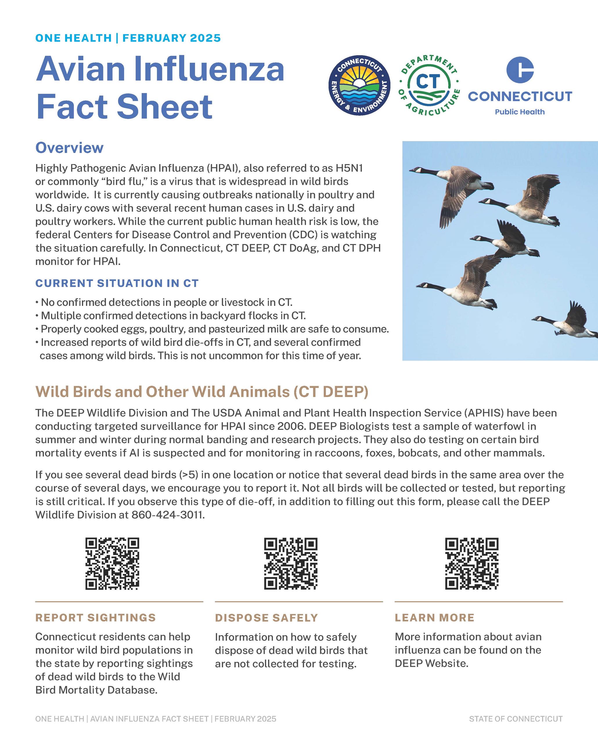 H5N1_Handout_DPH_DoAG_DEEP_2.14.25_Page_1